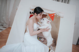 2024 2025 香港室內Prewedding Package, 香港室內旅行風 Prewedding Package, 香港室內影樓Prewedding拍攝，香港Prewedding, 香港一站式Prewedding, 香港一站式Prewedding 全包，香港Prewedding 一條龍，香港Prewedding 化妝拍攝場地，香港室內包場影樓Prewedding, 香港寵物Prewedding Package, 香港 Pet Friendly Prewedding Package, 香港寵物友善Prewedding 拍攝