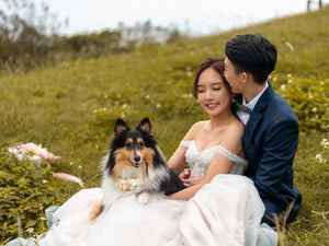 婚紗攝影，婚紗攝影套餐，Prewedding，婚紗攝影價錢，Prewedding推介，Prewedding套餐，Prewedding價錢，婚紗禮服租借，婚紗租借套餐，婚紗租借價錢，婚紗攝影推介，婚紗攝影化妝，結婚照，結婚相，婚禮新娘化妝，媽媽衫，新娘晚裝，婚紗店推薦，婚紗店推介，戶外婚紗攝影，室內婚紗攝影