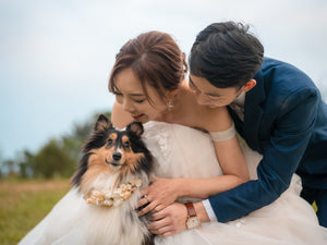 婚紗攝影，婚紗攝影套餐，Prewedding，婚紗攝影價錢，Prewedding推介，Prewedding套餐，Prewedding價錢，婚紗禮服租借，婚紗租借套餐，婚紗租借價錢，婚紗攝影推介，婚紗攝影化妝，結婚照，結婚相，婚禮新娘化妝，媽媽衫，新娘晚裝，婚紗店推薦，婚紗店推介，戶外婚紗攝影，室內婚紗攝影